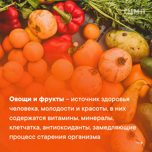 Санкт-Петербургское Государственное Бюджетное Учреждение ...
